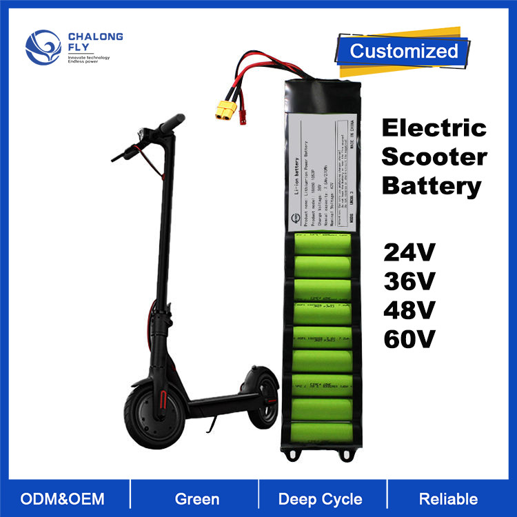 OEM ODM LiFePO4 lithium battery pack Electric Scooter battery 24V 36V 48V for Electric Bicycles/Scooter