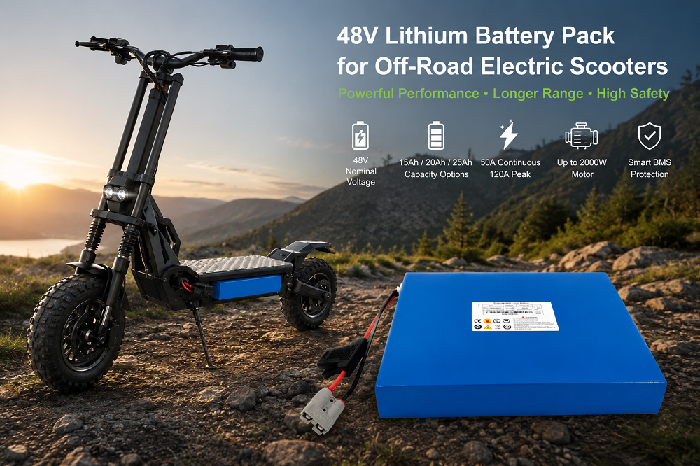 último caso de la compañía sobre 48V Lithium Battery Pack for 2000W Off-Road Electric Scooters