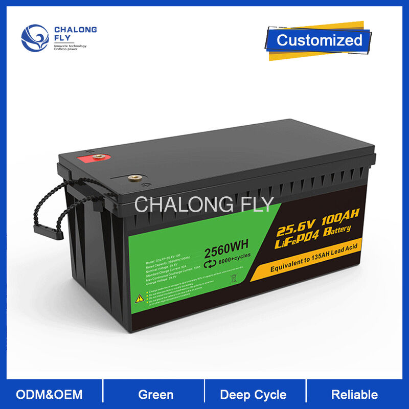 96V 300AH IP67 Waterproof Marine Lithium Battery Lifepo4 Battery with OEM/ODM Support