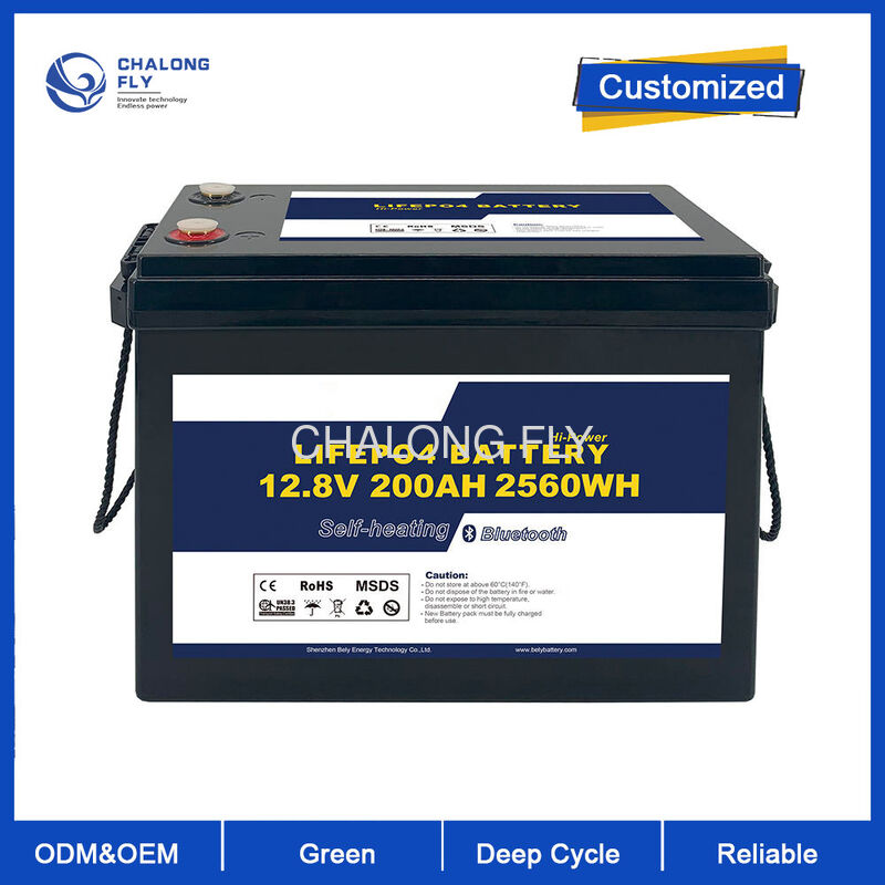 24V 300Ah LiFePO4 RV Lithium Battery with 7680Wh High Capacity and 6,000 Cycles IP65 Rated Portable Energy Storage System