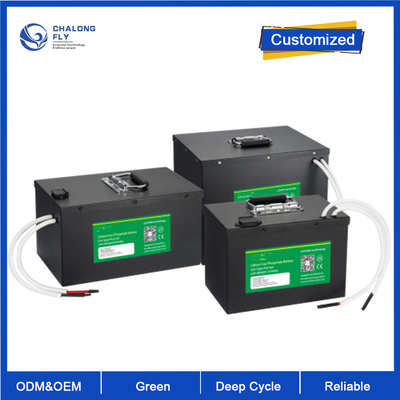 OEM ODM LiFePO4 Batería de litio AGV Vehículos guiados automáticos Sistema 24v 80v