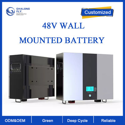 Batería de litio LiFePO4 Batería de almacenamiento de energía solar para el hogar Batería de ciclo profundo OEM ODM 48V 100AH 200AH Baterías de litio