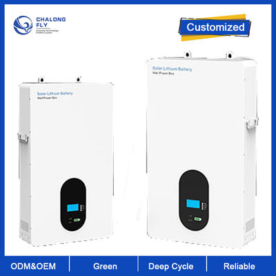 Batería de litio LiFePO4 48V 100AH 200AH Batería de almacenamiento de energía de pared eléctrica para el hogar OEM ODM 15KW Batería de litio