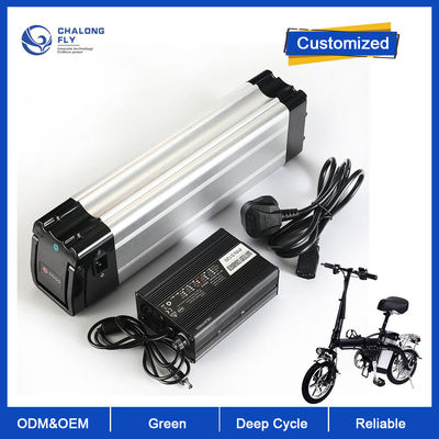 Batería de litio LiFePO4 24V 36V 48V 40AH 60AH recargable OEM ODM Batería de litio de iones de litio para bicicleta eléctrica / silla de ruedas