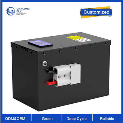 OEM ODM Batería de litio LiFePO4 24V 100Ah Batería de iones de litio de potencia 1P8S para EV Paquetes de baterías de litio personalizados
