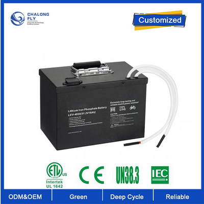OEM ODM Batería de litio LiFePO4 24100 24v 200ah Batería de litio Lifepo4 Batería personalizada