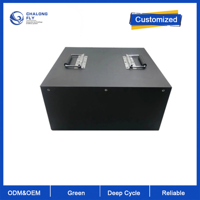OEM ODM LiFePO4 Batería de litio paquete personalizado de montacargas Batería de iones de litio 48V
