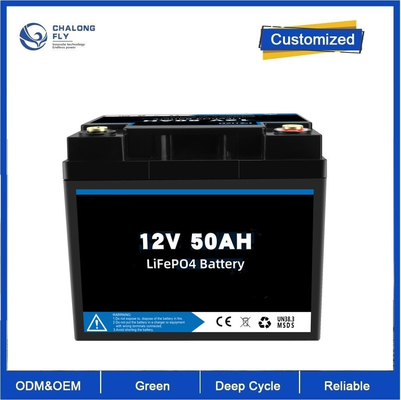 LiFepo4 Batería de Fósforo de Hierro de Litio 12v 100ah con Bms Para RV Coche Eléctrico Scooter Motocicleta Barco Ciclo Profundo