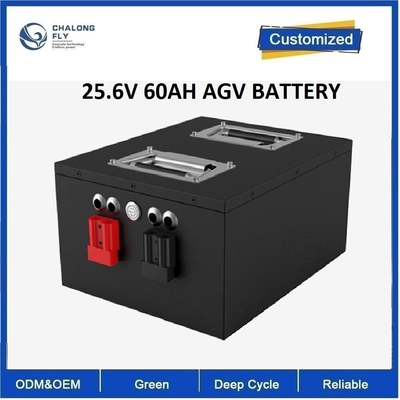 CLF carretilla elevadora eléctrica AGV portador LiFepo4 EV paquetes de baterías de litio OEM ODM 24V 48V 60Ah comunicación RS485