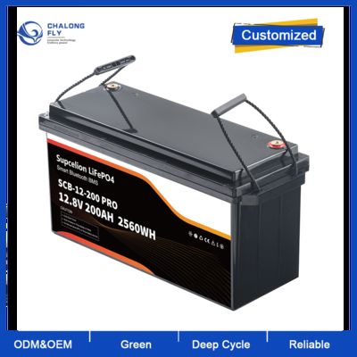 Batería de litio marina de 96V 300Ah de tamaño personalizado con carcasa de acero inoxidable y sistema de gestión térmica