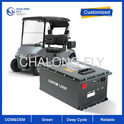 200V 300Ah LiFePO4 Batería para carretillas elevadoras    Solución de potencia de tracción de grado industrial