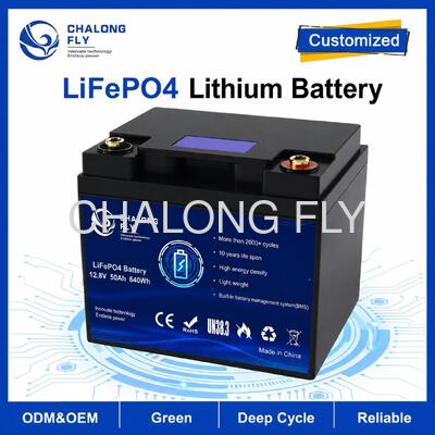 Paquete de baterías LiFePO4 personalizado de 12.8V 50Ah con BMS incorporado para RV Campervan y energía auxiliar