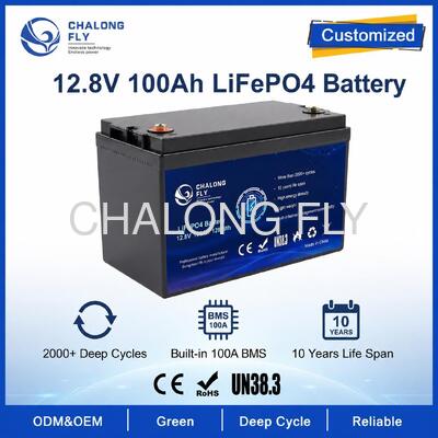 Paquete de batería LiFePO4 personalizado de 12.8V 100Ah con BMS para luces solares de calle y energía auxiliar para RV