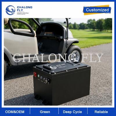 Batería de carrito de golf LiFePO4 de 36V y 48V 105Ah con BMS inteligente para vehículos de flota