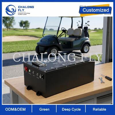 OEM ODM LiFePO4 Batería para carrito de golf con voltaje personalizado BMS personalizado y comunicación CAN
