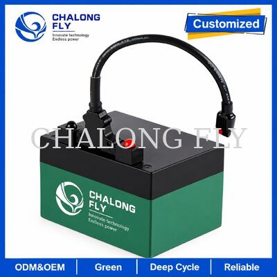 12.8V 18Ah 24Ah LiFePO4 Batería de Golf Trolley con conector T-Bar