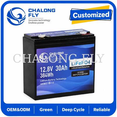 Batería de ciclo profundo LiFePO4 de 12.8V 30Ah con 384Wh de energía y BMS inteligente para sistemas de 12V