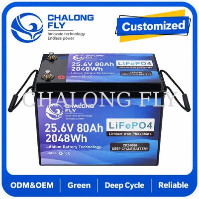 25.6V 70Ah LiFePO4 Batería con diagnóstico remoto Bluetooth y 1.792kWh para scooters de movilidad y sillas de ruedas